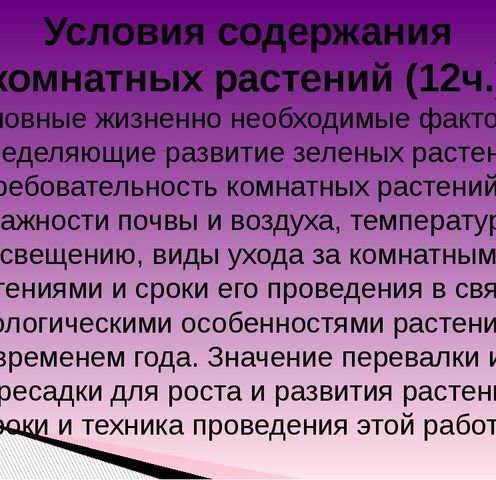 Условия содержания комнатных