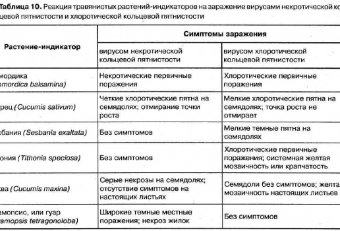 Какие Болезни Вызываются Вирусами Растений